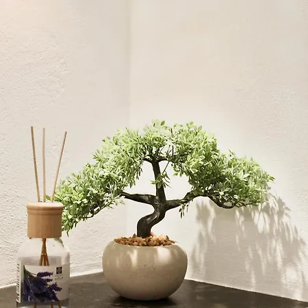 Terratetto - Apulia 別荘 *